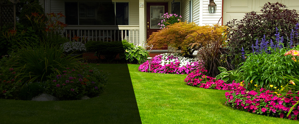 Derby Landscapers